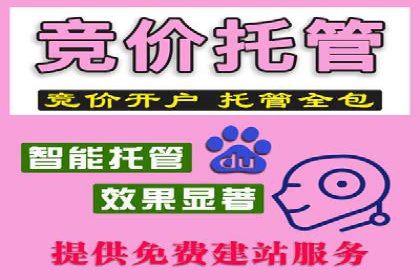 竞价推广实战：案例解析行业佼佼者的秘诀
